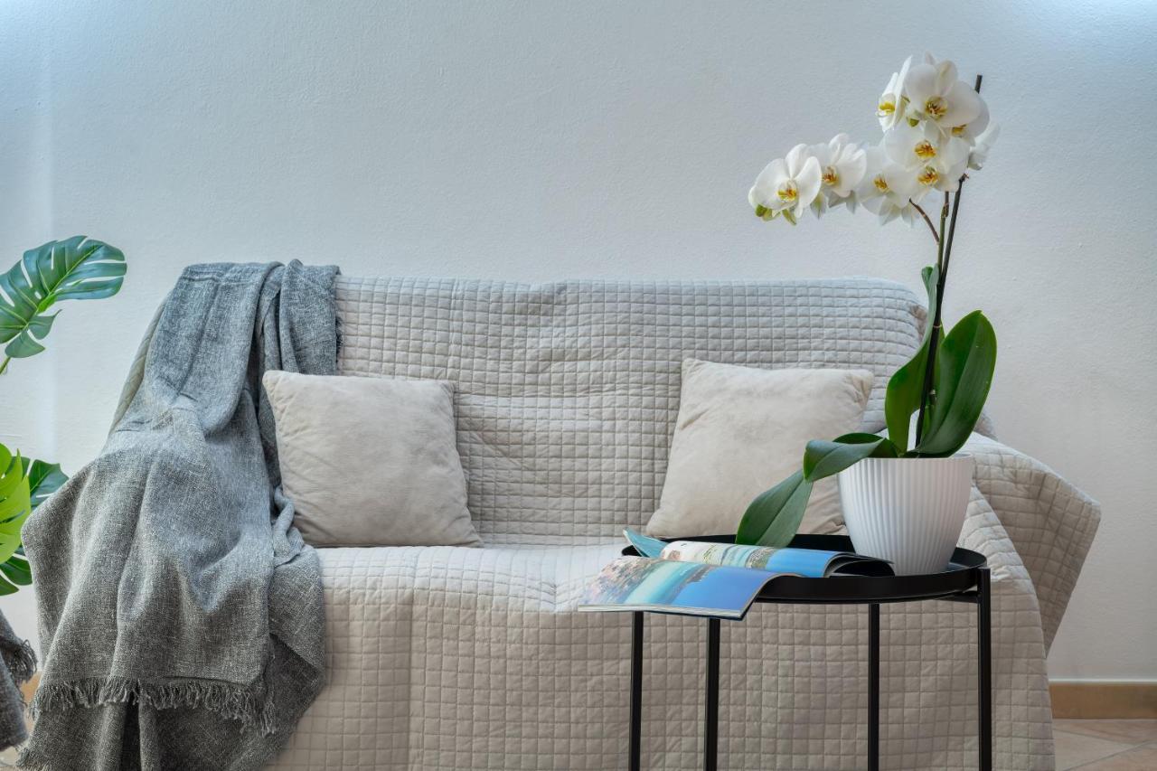 Izzhome Everyway Pula